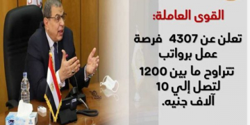 وظائف وزارة القوى العاملة 4307 وظيفة لجميع التخصصات راتب يصل الى 10000ج