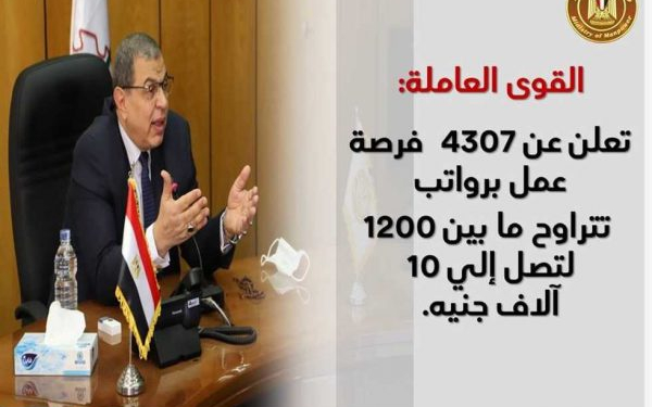 وظائف وزارة القوى العاملة 4307 وظيفة لجميع التخصصات راتب يصل الى 10000ج
