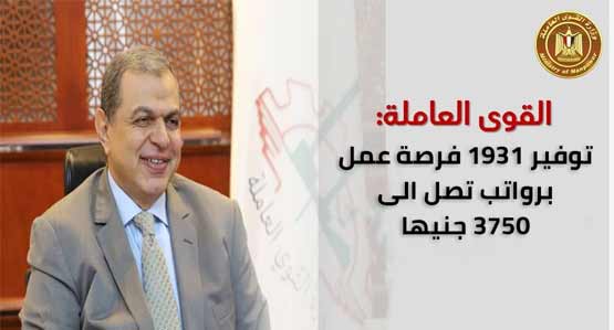 وظائف وزارة القوي العاملة لجميع المؤهلات بمرتبات تصل إلى 5000جنيها في مختلف المحافظات