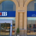 فتح باب التقديم للعمل فى بنك CIB لحديثى التخرج راتب 4000 ج