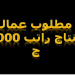 مطلوب عمال انتاج لشركة كبرى راتب 2000 ج (هذا الاعلان من الشركة مباشرة بدون أى وسيط أو شركة توظيف)