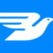 وظائف كبري شركات MessageBird لجميع الجنسيات في قطر قدم الان