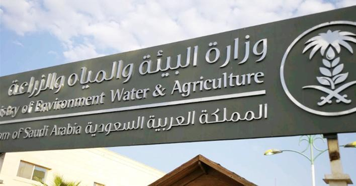 تعلن وزارة البيئة والمياه والزراعة عن توفير أمكان شاغره في مجال تربية الأسماك في جدة